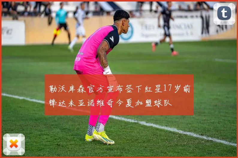 勒沃库森官方宣布签下红星17岁前锋达米亚诺维奇今夏加盟球队
