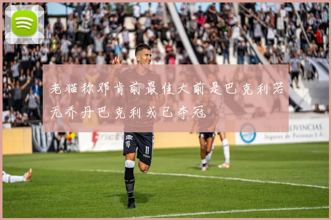 老猫称邓肯前最佳大前是巴克利若无乔丹巴克利或已夺冠